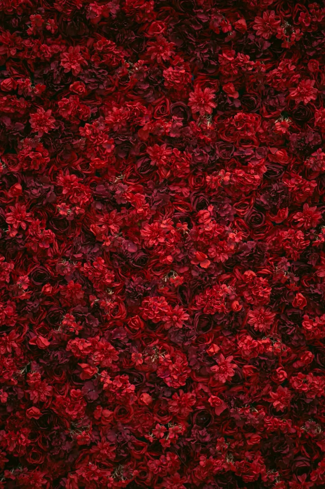 Image produit 5