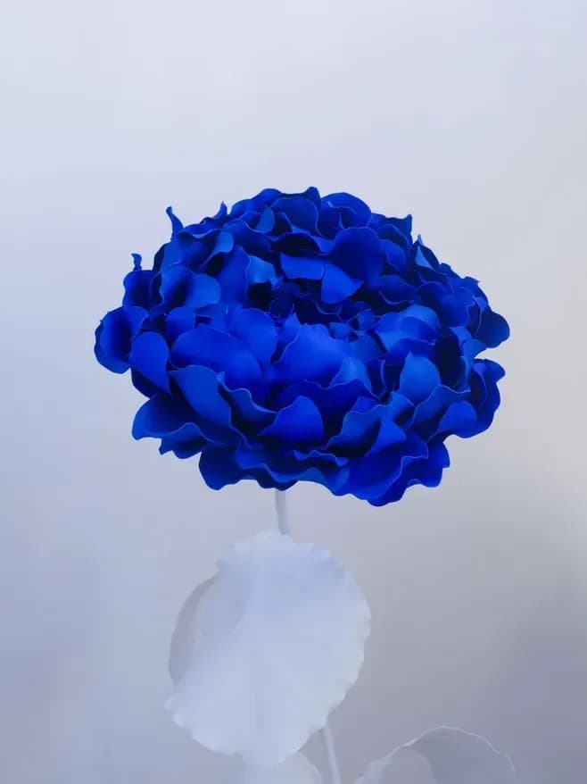Image produit 1