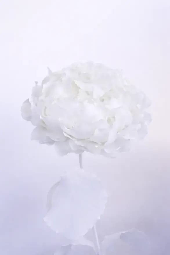 Image produit 1