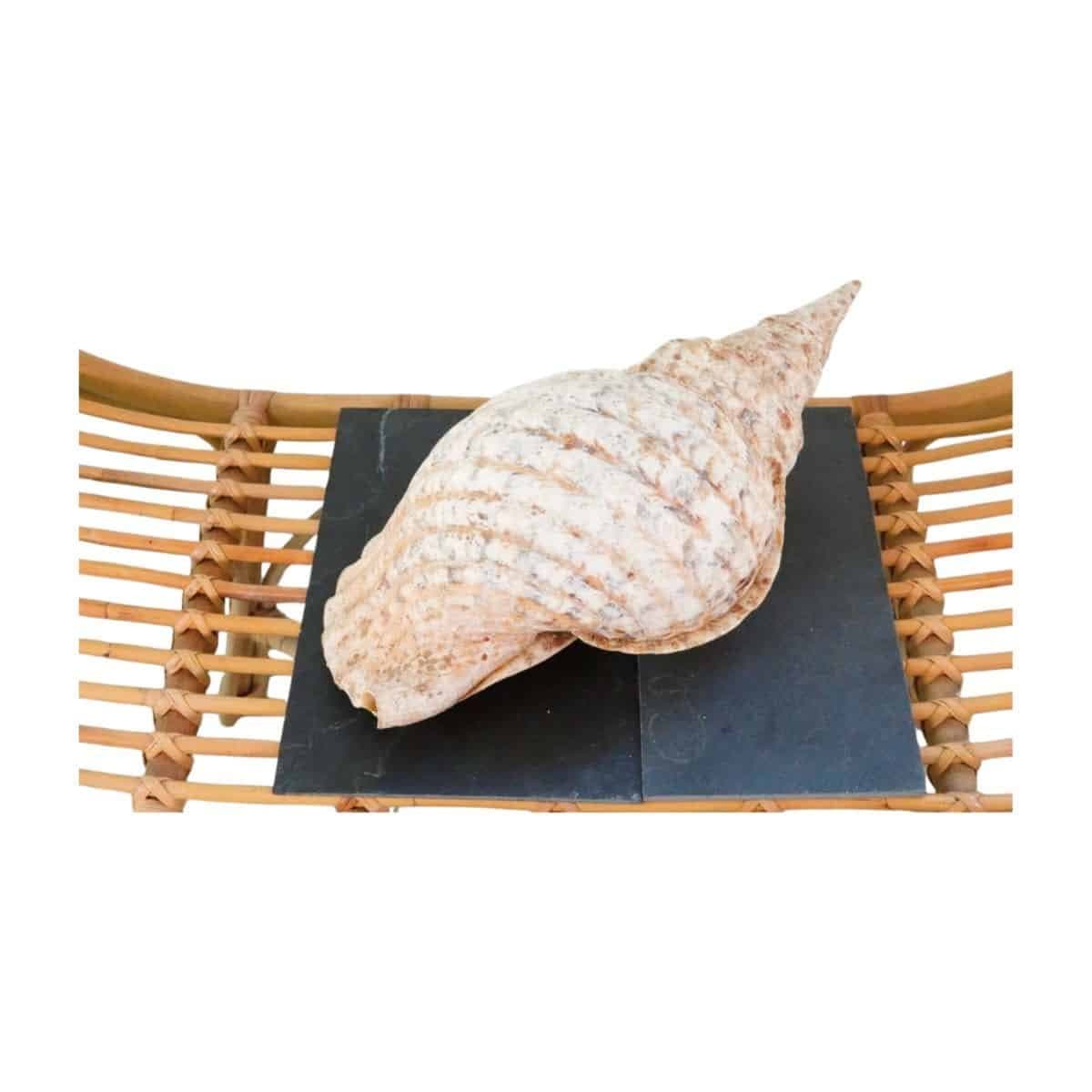 Image produit 6