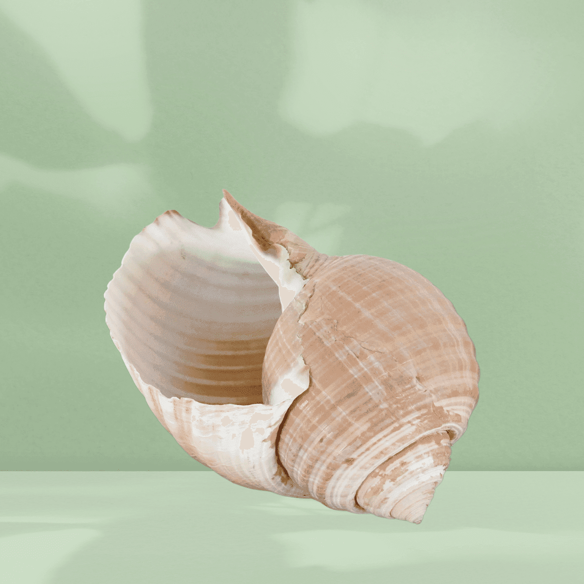 Image produit 2