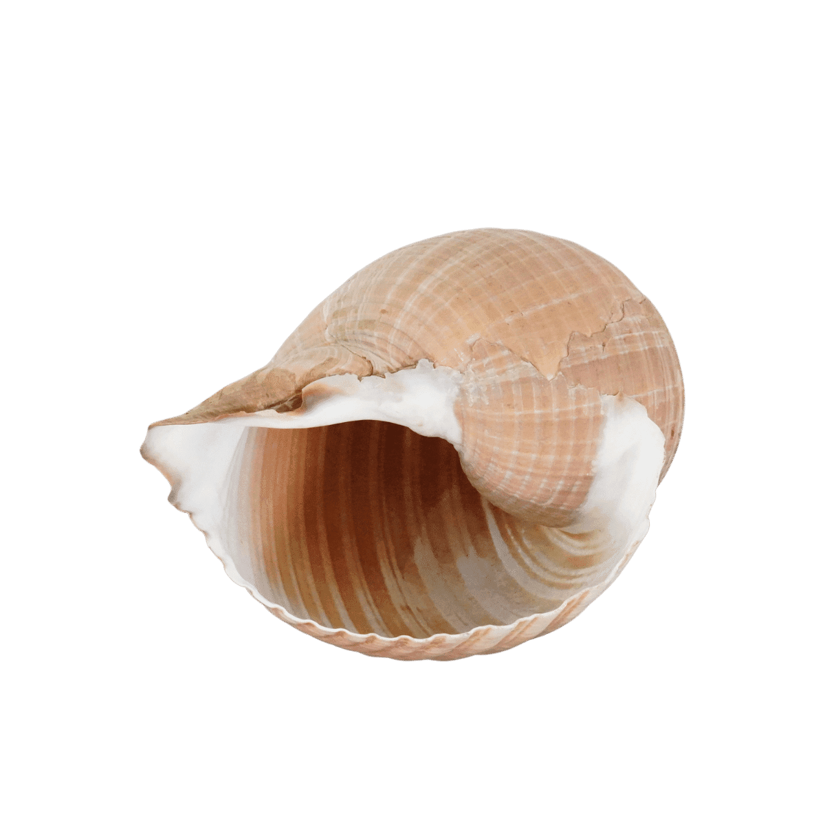 Image produit 3