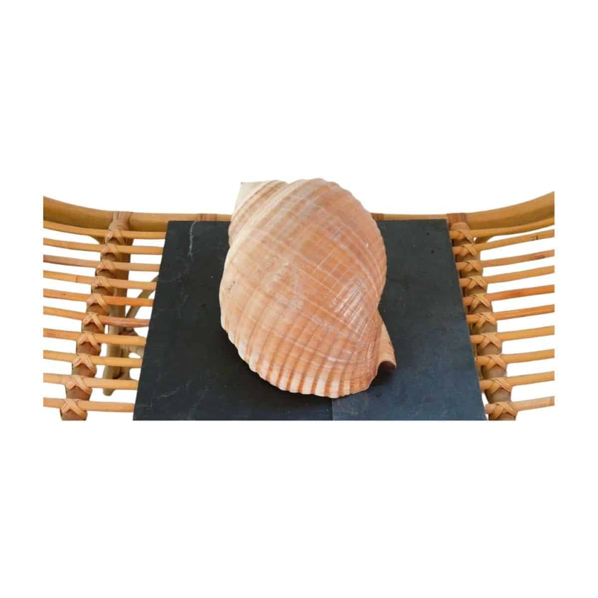 Image produit 6