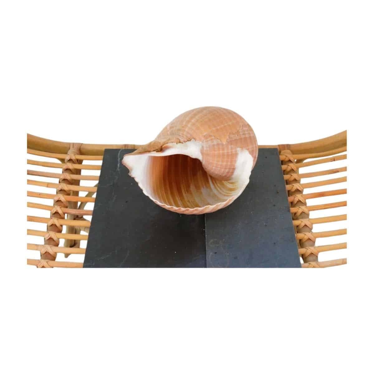 Image produit 7