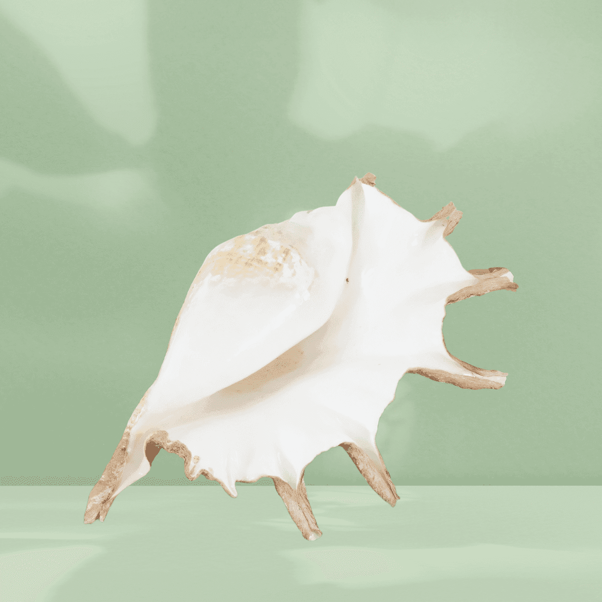 Image produit 2