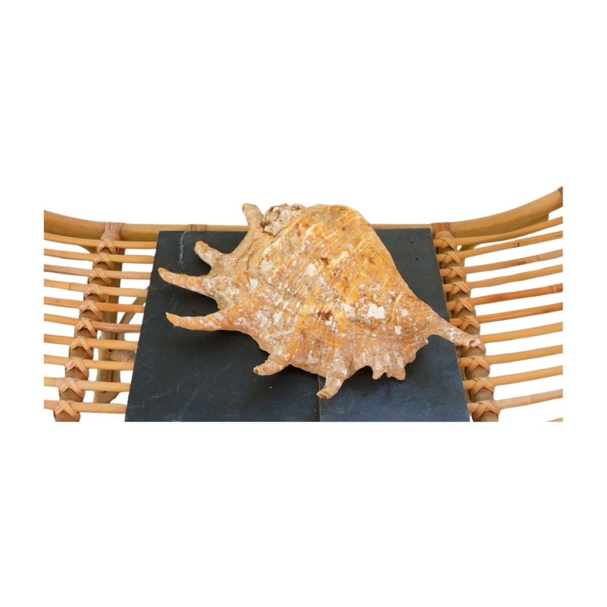 Image produit 3
