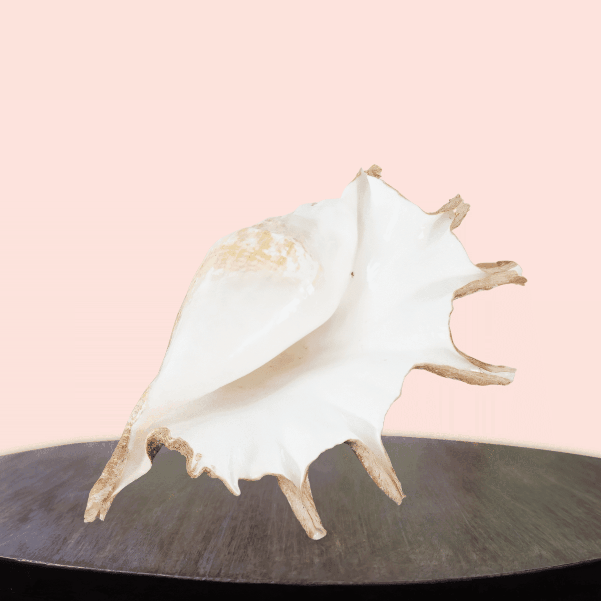 Image produit 4