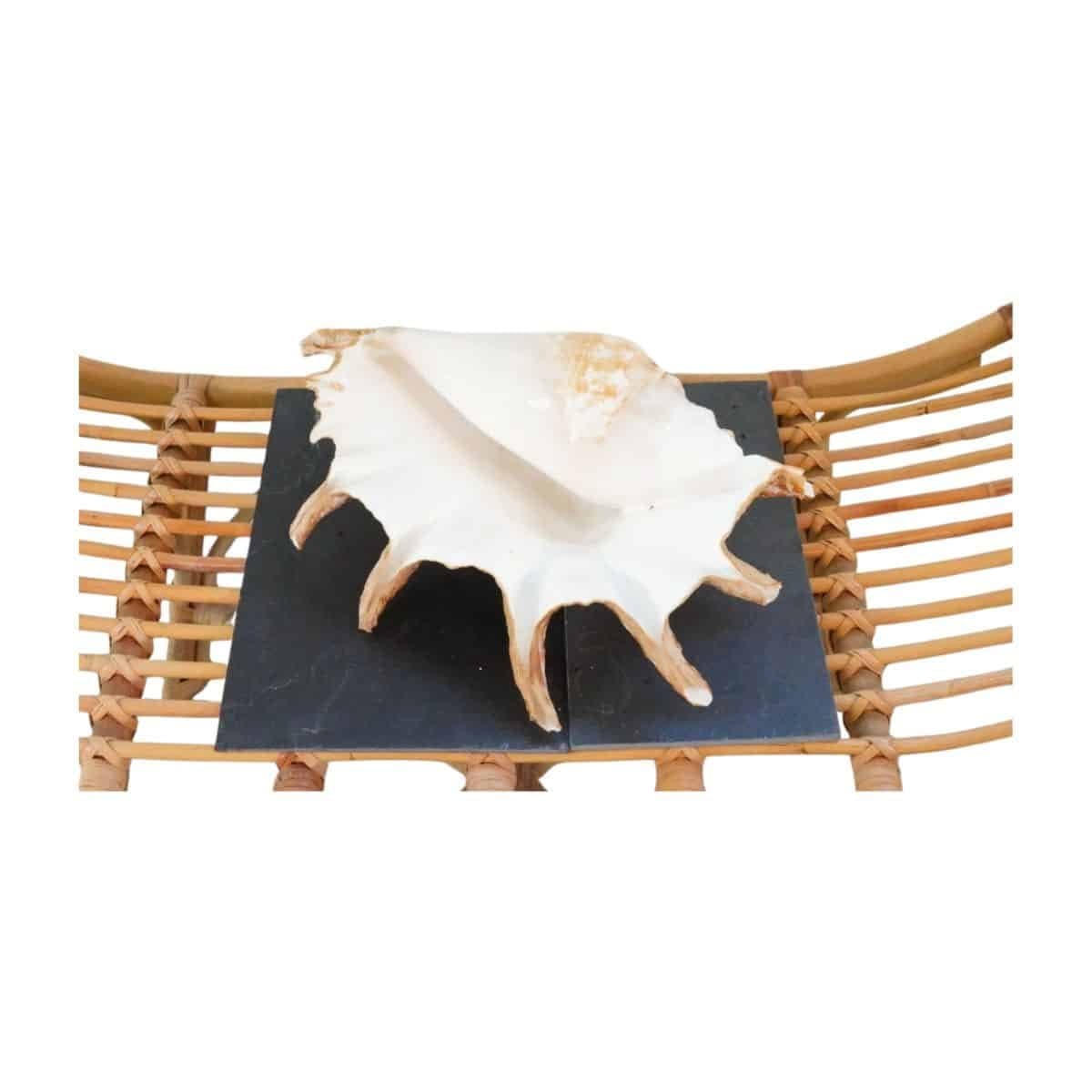 Image produit 5
