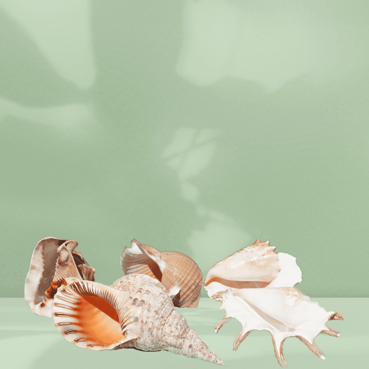 Image produit 2