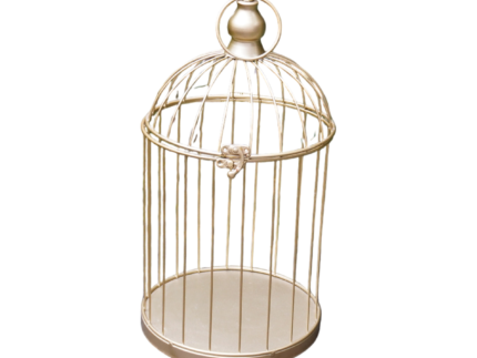 Location Cage décorative dorée – Déco vintage mariage | La Réunion – Image 4