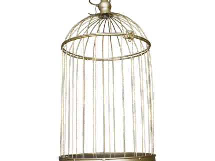 Location Cage décorative dorée – Déco vintage mariage | La Réunion – Image 5