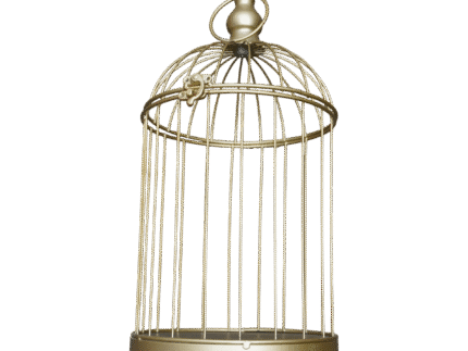Location Cage décorative dorée – Déco vintage mariage | La Réunion – Image 7