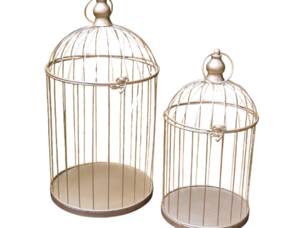 Location Cage décorative dorée – Déco vintage mariage | La Réunion