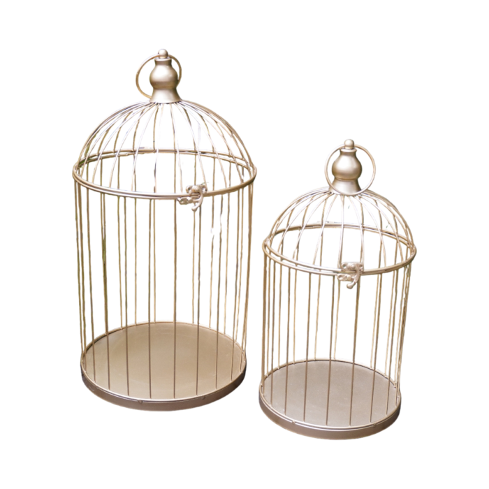 Location Cage décorative dorée – Déco vintage mariage | La Réunion Location Cage décorative dorée – Déco vintage mariage | La Réunion