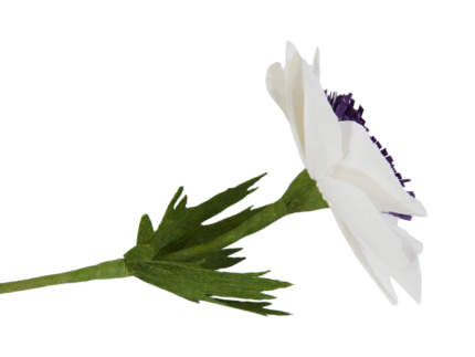 🌼 Fleur d'Anémone en Papier Crépon haut de gamme - Création artisanale – Image 5
