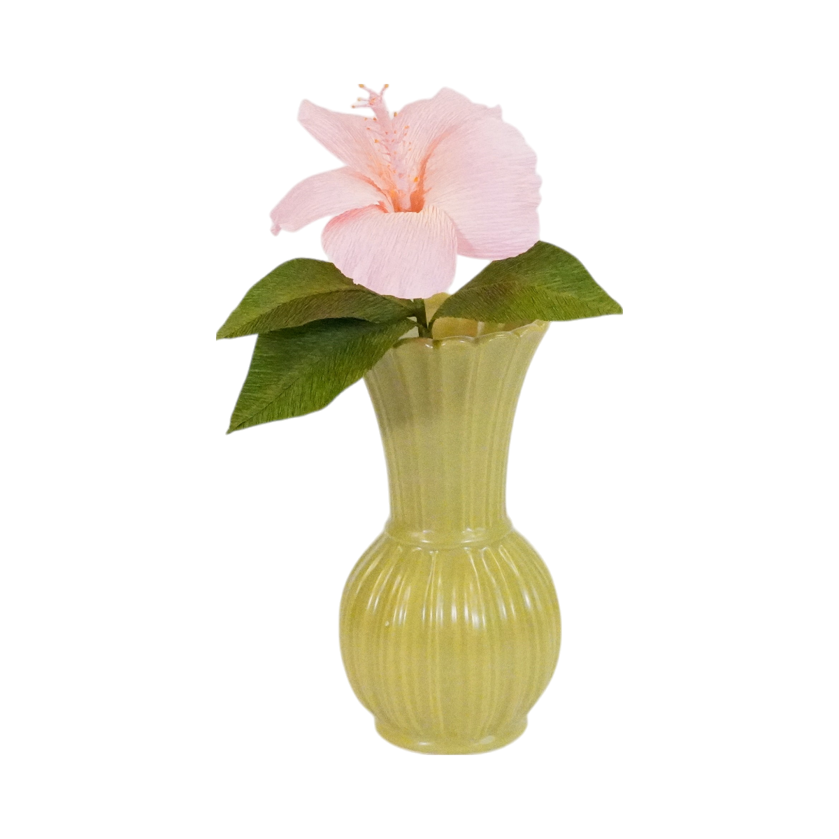 Fleur Hibiscus