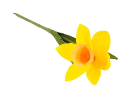 Fleur de Jonquille en Papier Crépon haut de gamme - Création artisanale – Image 3