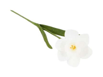 Fleur de Jonquille en Papier Crépon haut de gamme - Création artisanale – Image 4