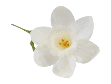 Fleur de Jonquille en Papier Crépon haut de gamme - Création artisanale – Image 5