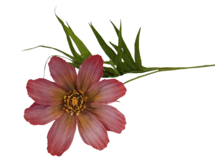 🌸 Fleur de Cosmos en Papier Crépon haut de gamme - Création Artisanale – Image 5