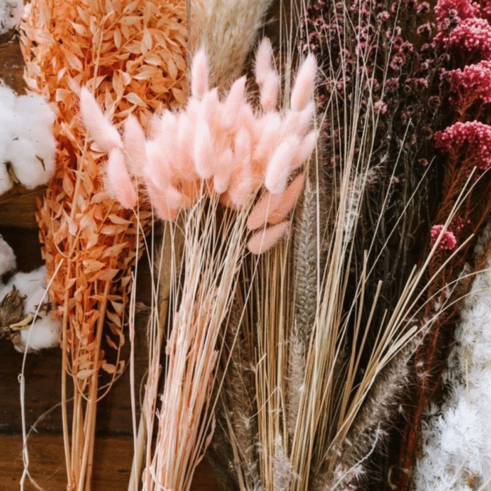 forfait fleurs sechees 1 (5) fl sc 9