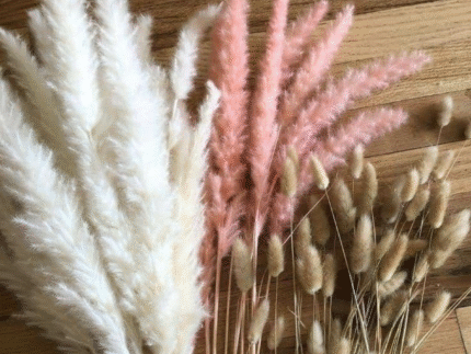 FORFAIT FLEUR SECHEES 3 FLEURS