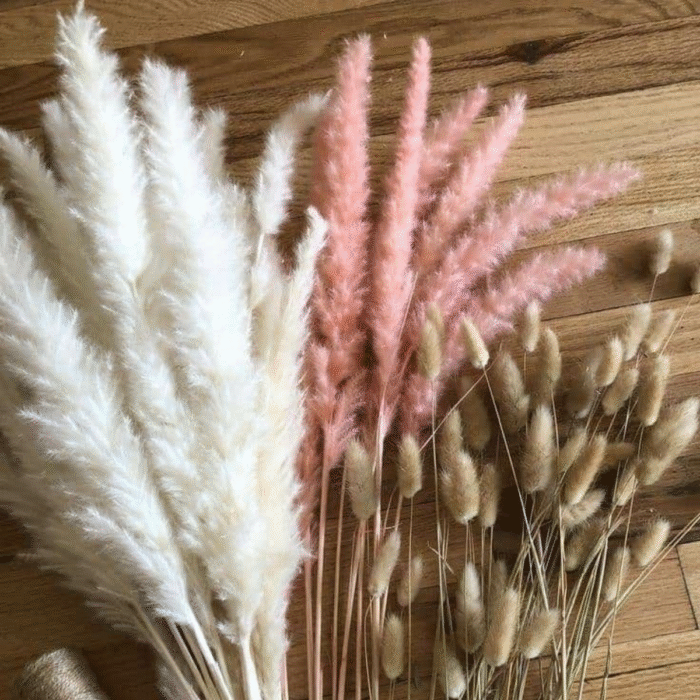 forfait fleurs sechees 1 (7) FORFAIT FLEUR SECHEES 3 FLEURS